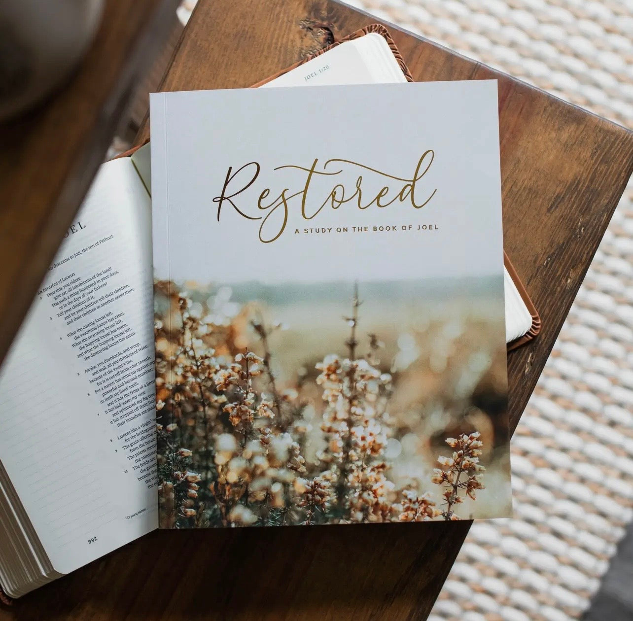Restored Bible Study, Daily Grace Co
