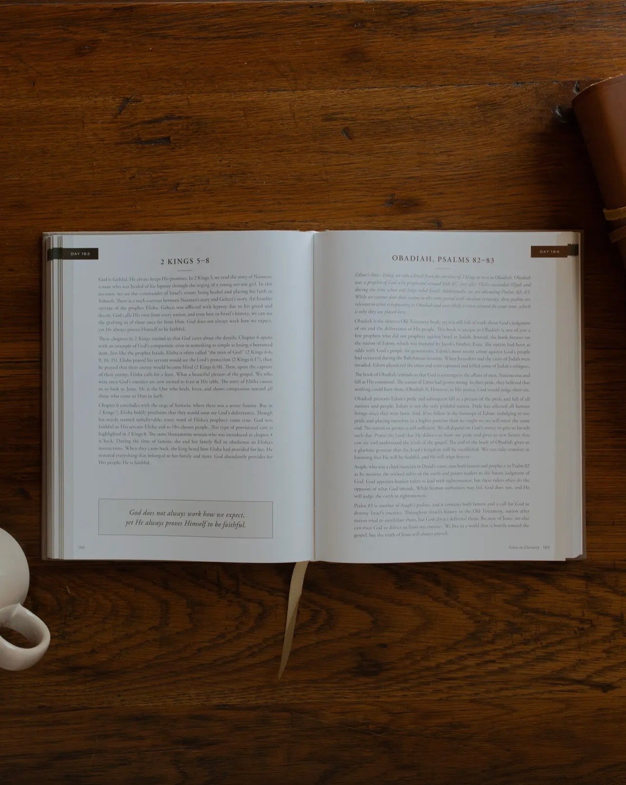365-day Devotional/ Eden To Eternity, Daily Grace Co.