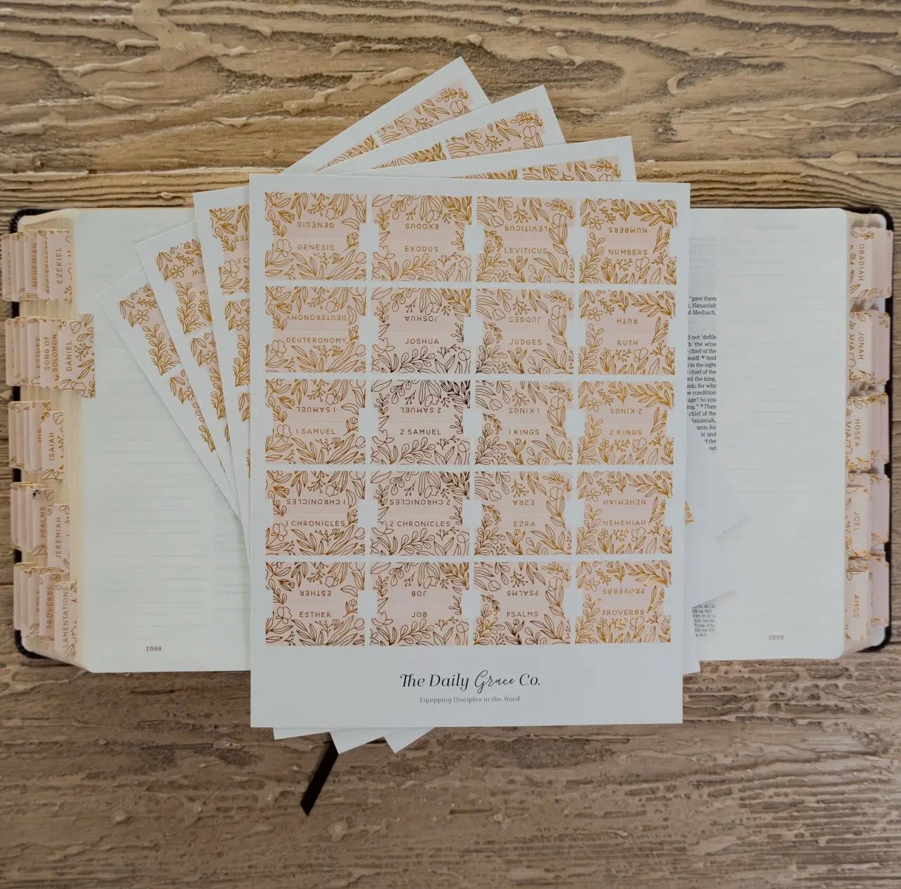 Bible Tabs, Daily Grace Co.