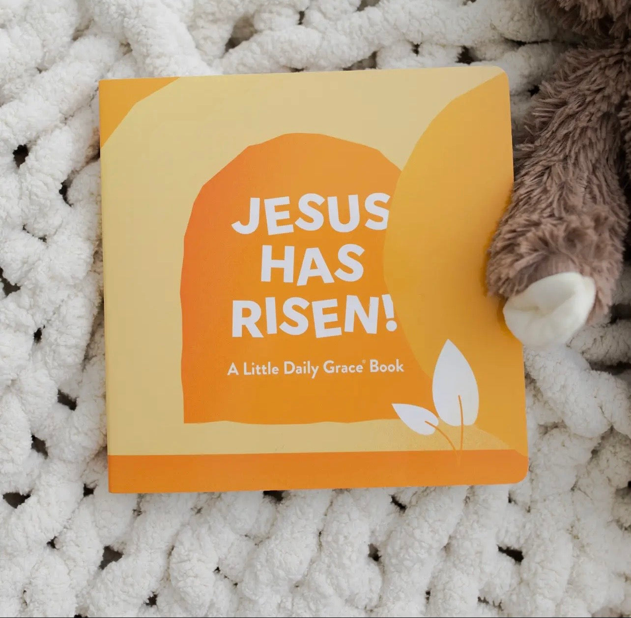 Daily Grace Co, Kids Books