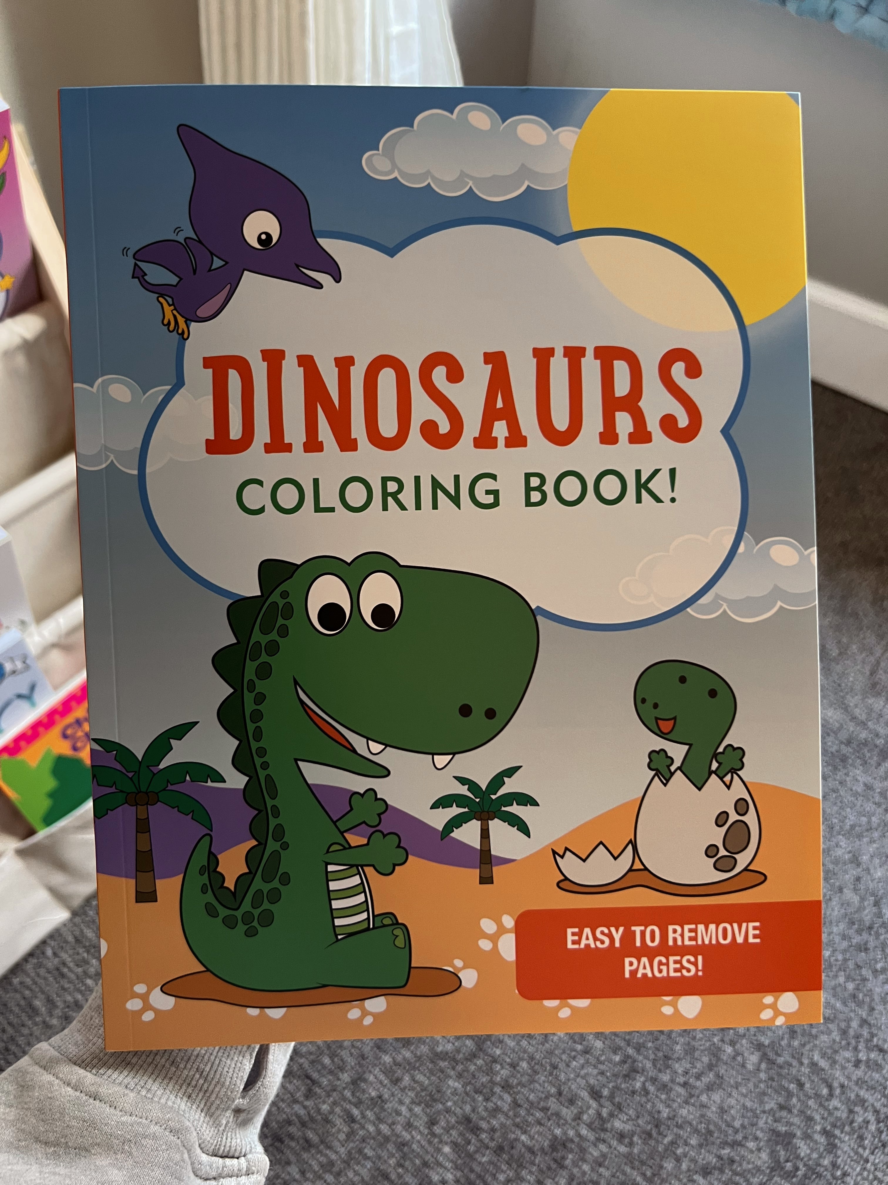 Dinosaurs Coloring Book, PPP