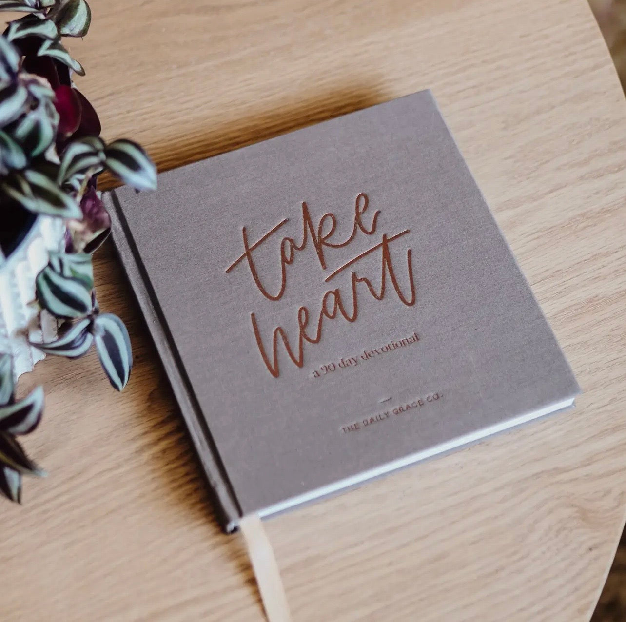 90-day Devotional/ Take Heart, Daily Grace Co