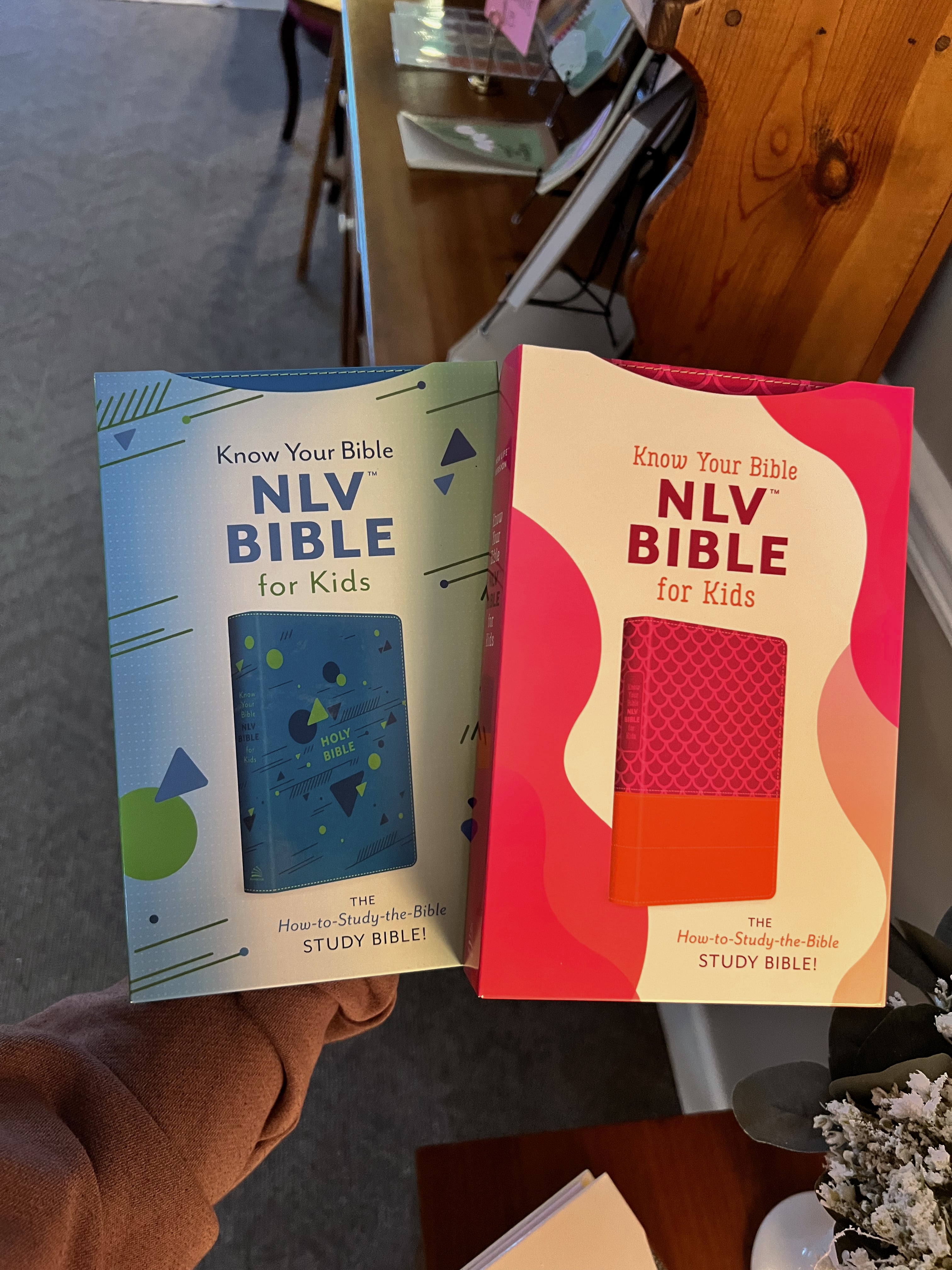 NLV Bible For Kids/ Boys