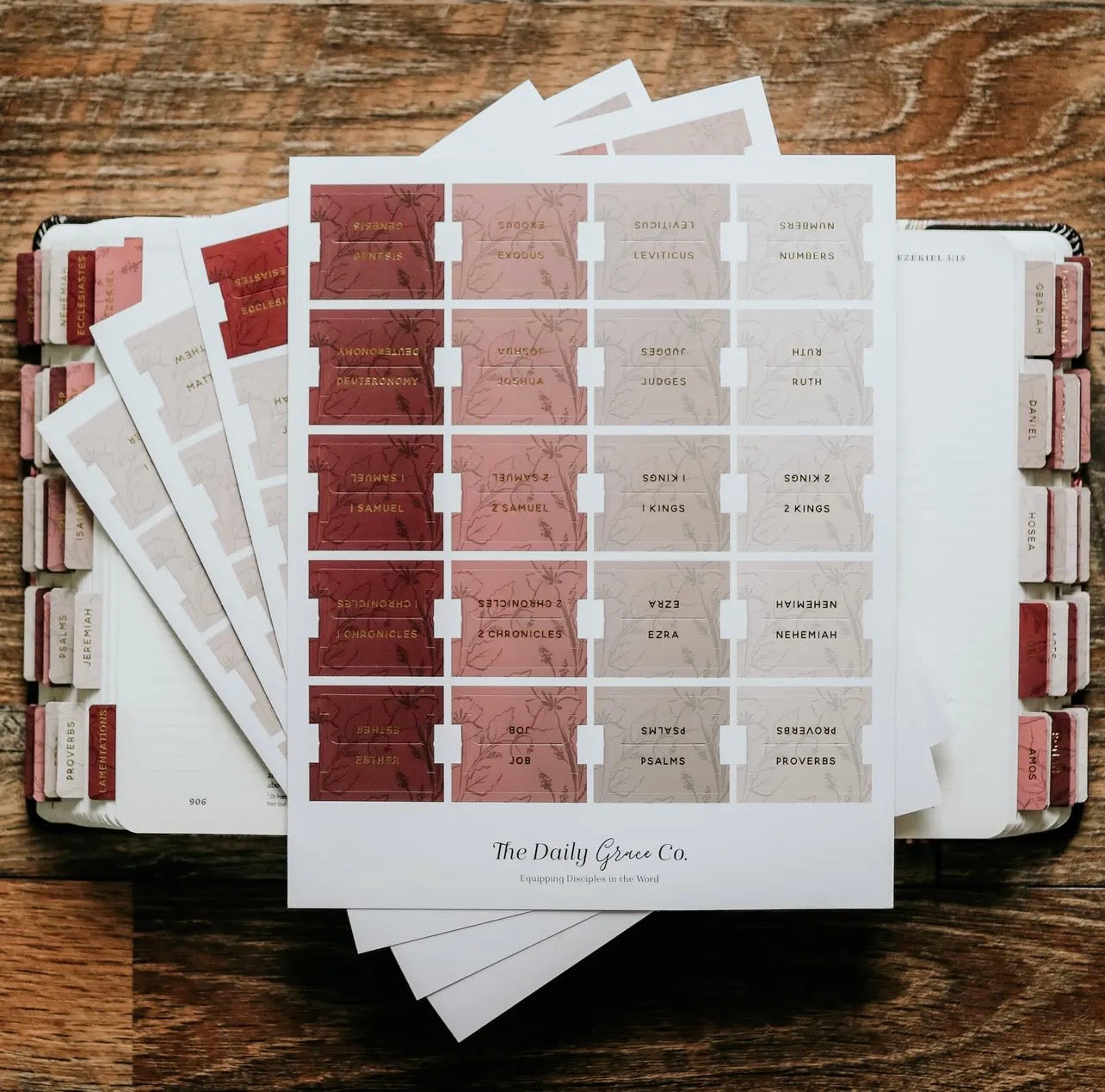 Bible Tabs, Daily Grace Co.