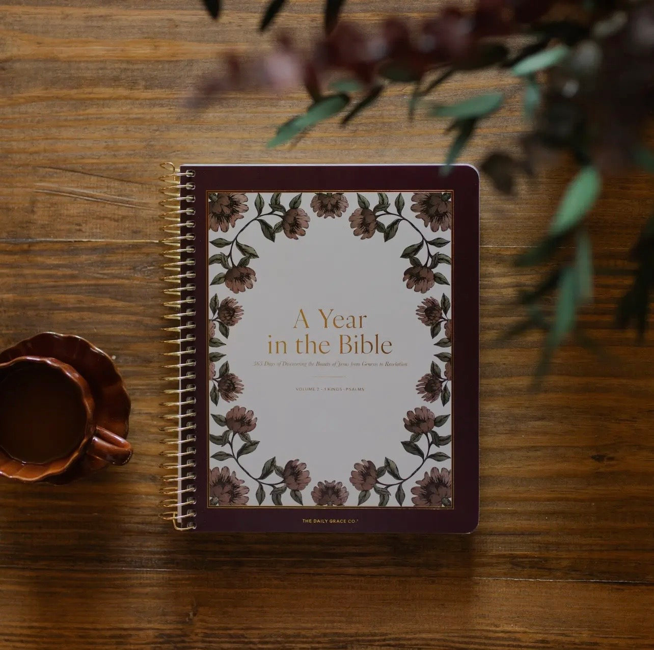 A Year In The Bible, Daily Grace Co.