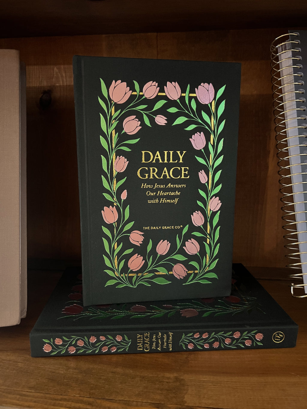 Daily Grace, Daily Grace Co.