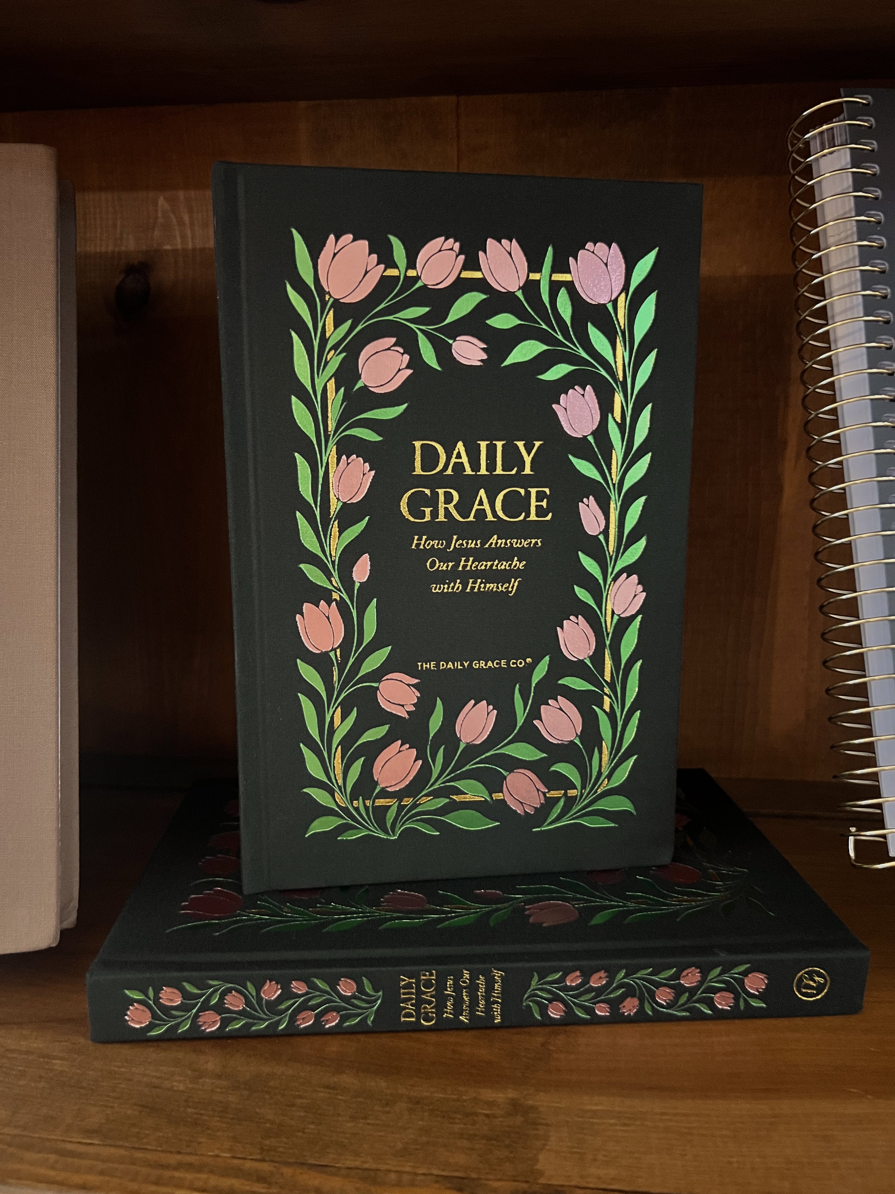 Daily Grace, Daily Grace Co.