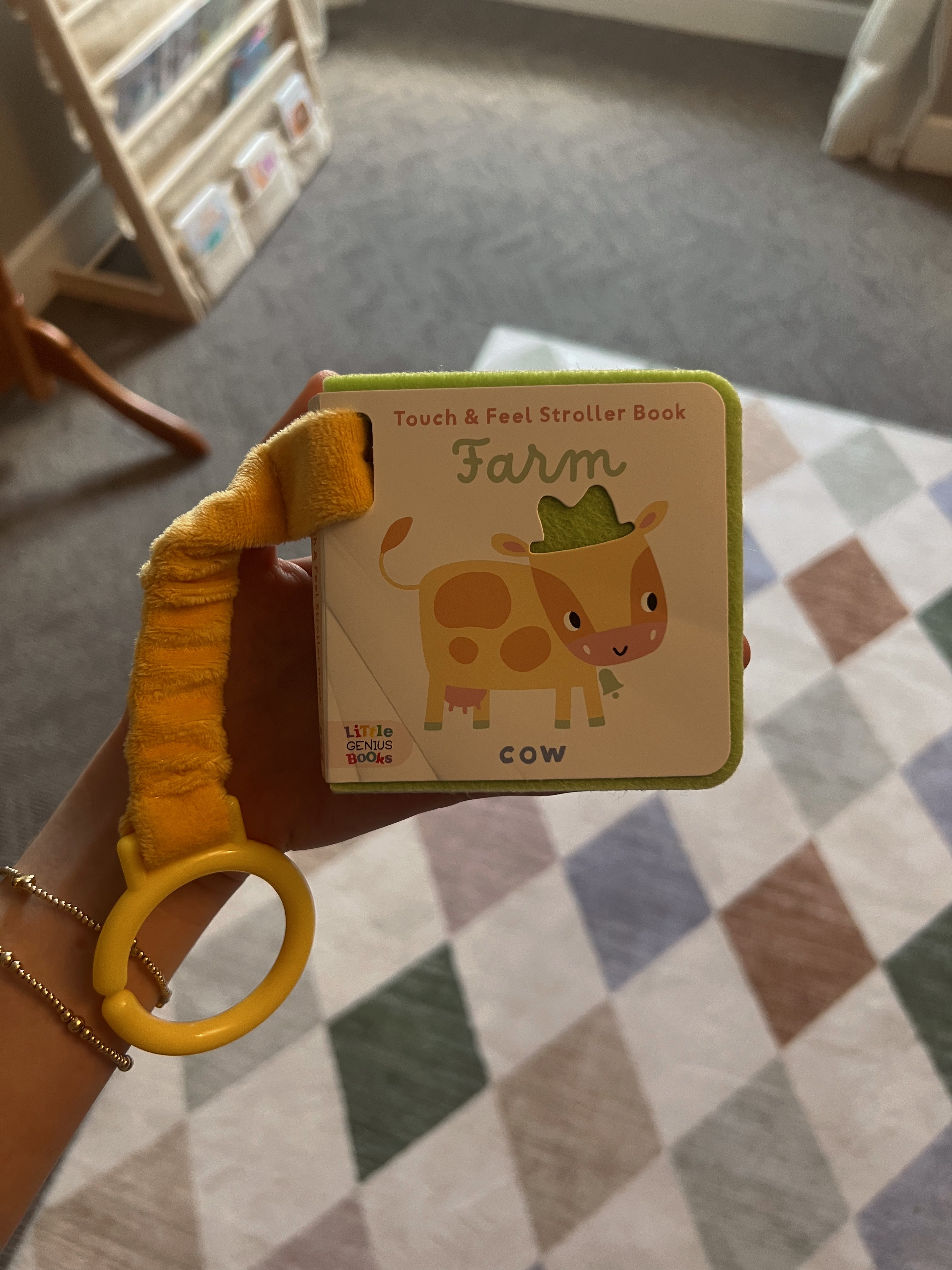 Touch & Feel Stroller Book/ Farm