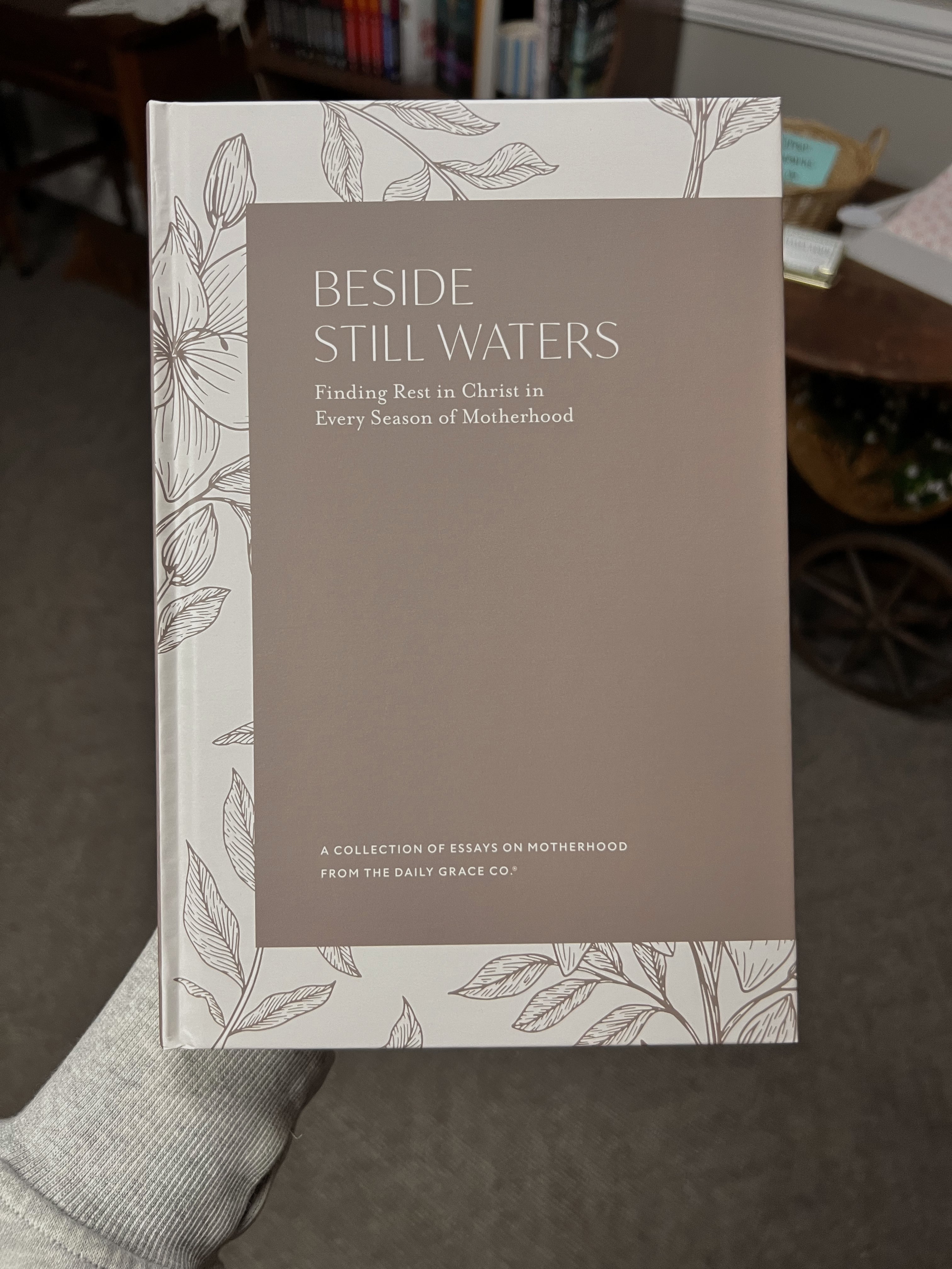 Beside still waters Bible study, Daily Grace co.