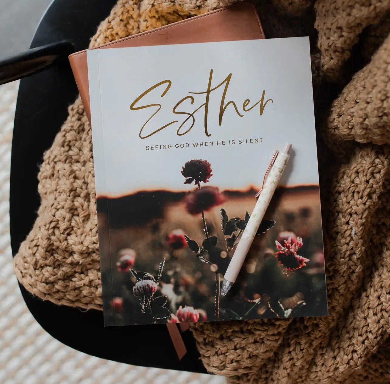 Esther, Bible Study, Daily Grace Co