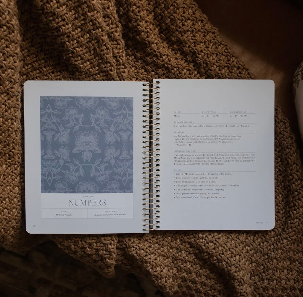 A Year In The Bible, Daily Grace Co.