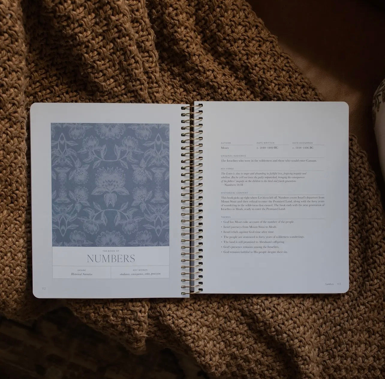 A Year In The Bible, Daily Grace Co.
